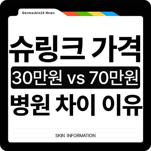 슈링크 가격